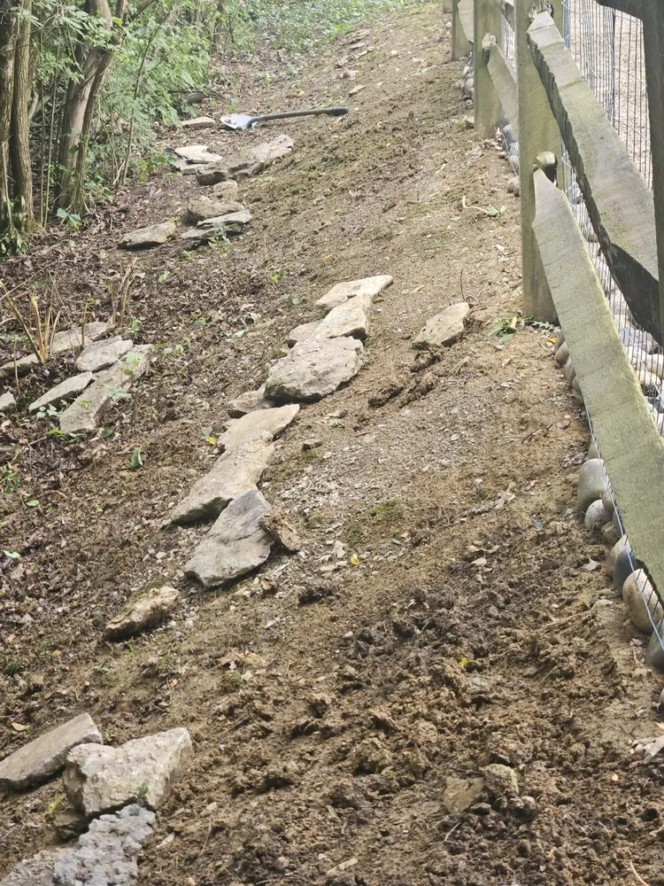 Top-rated residential landscaping with custom design across Cincinnati, OH - Kidwell & Son's