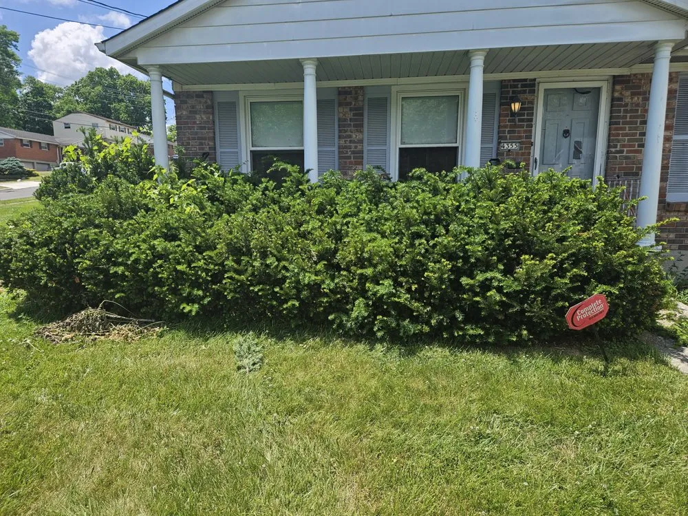 Affordable landscape installation for outdoor upgrades in Cincinnati, OH by Kidwell & Son's