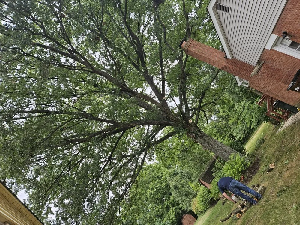 Local landscape installation with custom design across Cincinnati, OH - Kidwell & Son's