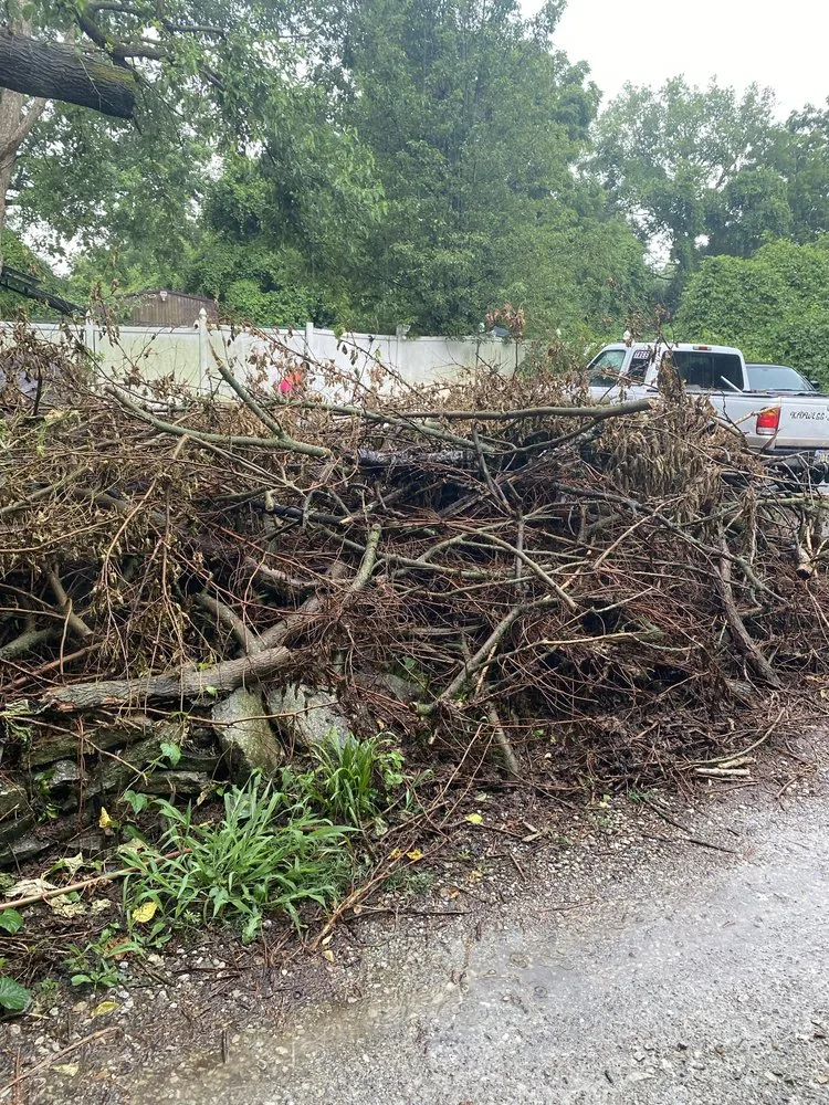 Custom yard cleanup service for year-round maintenance across Harrison, OH - Kidwell & Son's Tree Service