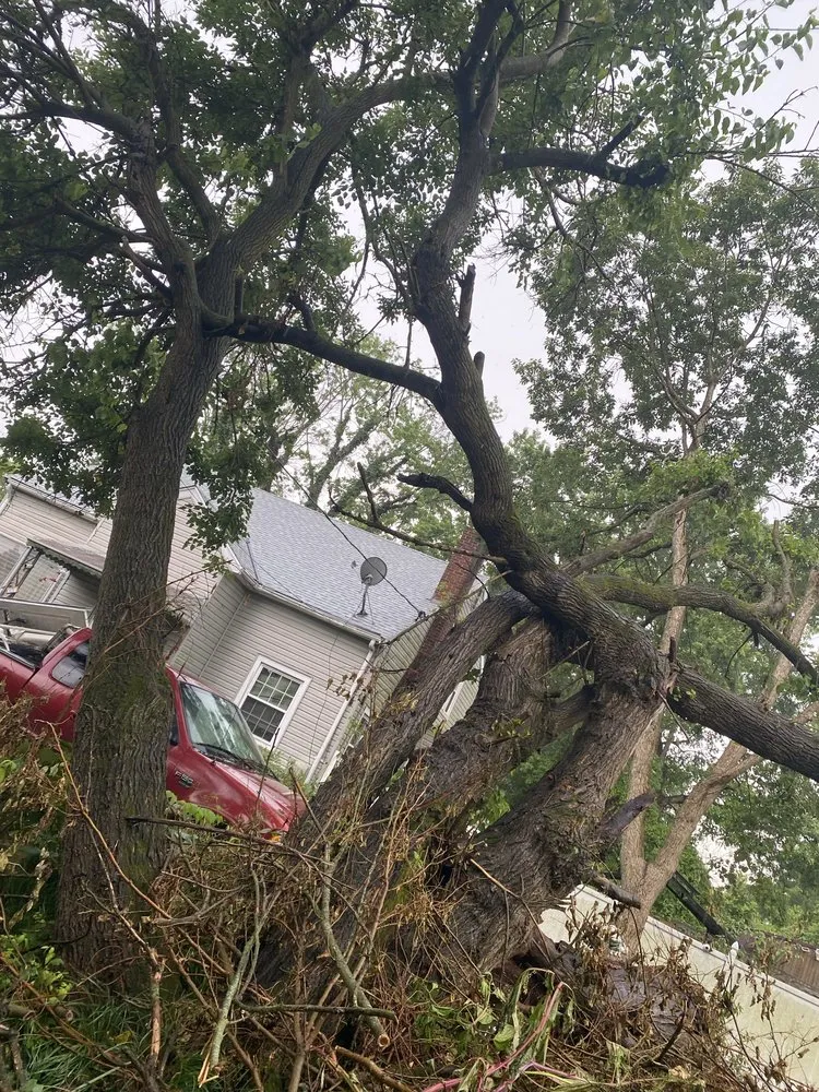 Expert landscaping services near you in Harrison, OH by Kidwell & Son's Tree Service