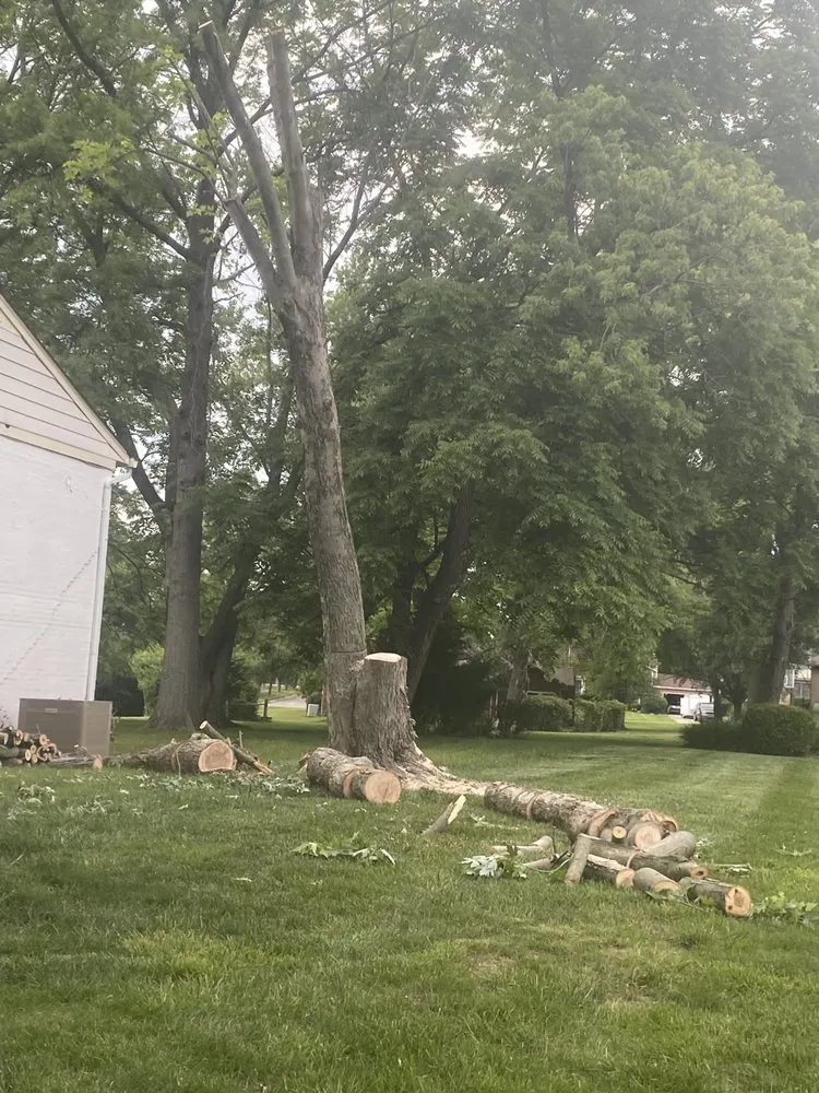 Reliable residential landscaping for year-round maintenance across Harrison, OH - Kidwell & Son's Tree Service