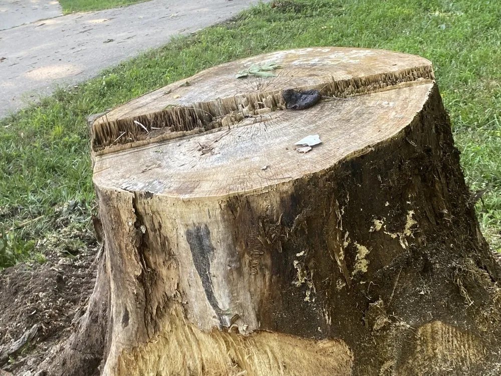 Top-rated landscape installation in Harrison, OH - Kidwell & Son's Tree Service