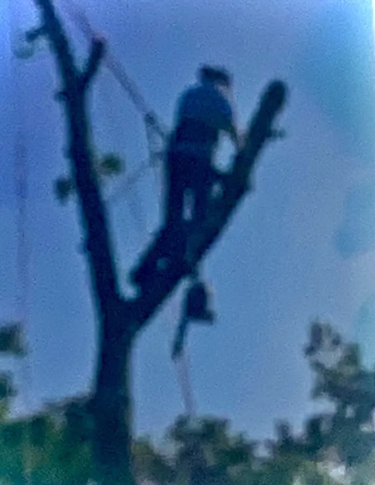 Custom residential landscaping in Harrison, OH by Kidwell & Son's Tree Service