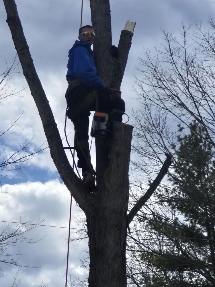 Trusted lawn mowing service in Harrison, OH by Kidwell & Son's Tree Service