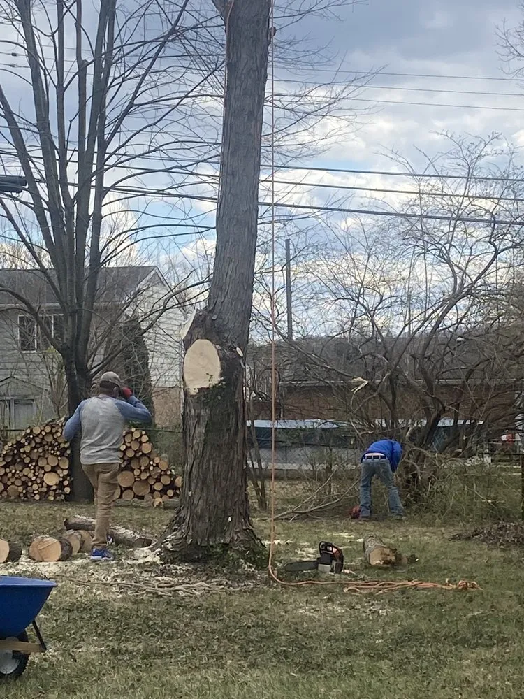 Reliable yard maintenance experts serving Harrison, OH - Kidwell & Son's Tree Service