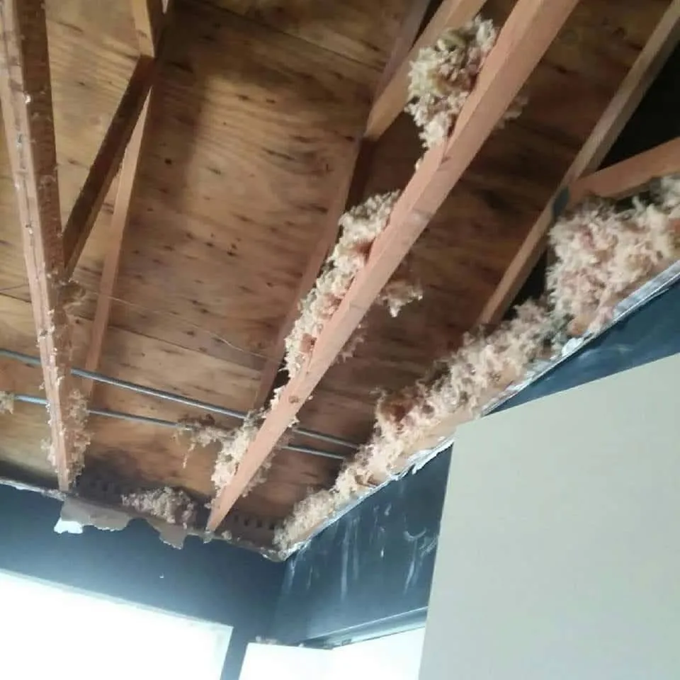 Reliable landscape installation experts serving Dubuque, IA - Kiebler Contracting