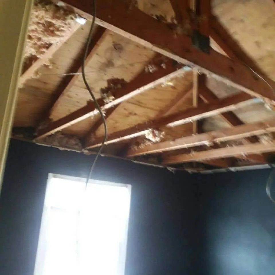 Expert landscape installation for homes in Dubuque, IA by Kiebler Contracting