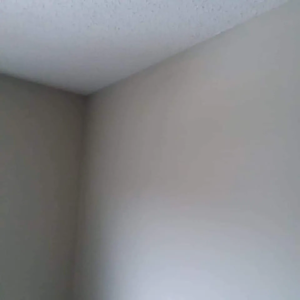 Professional landscape design experts serving Dubuque, IA - Kiebler Contracting