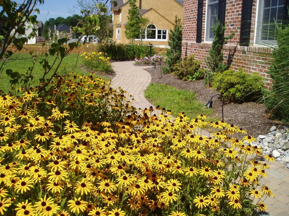 Local landscape installation in Lawrenceville, NJ - Kiefer Landscapes