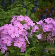 Top-rated outdoor landscaping for beautiful yards across Durham, NC - Kiefer Landscaping & Nursery