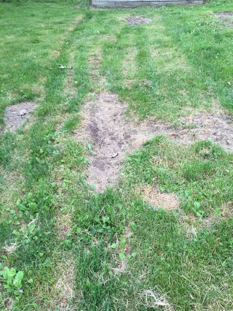 Professional lawn mowing service for year-round maintenance in Effingham, IL by Kiefer Landscaping