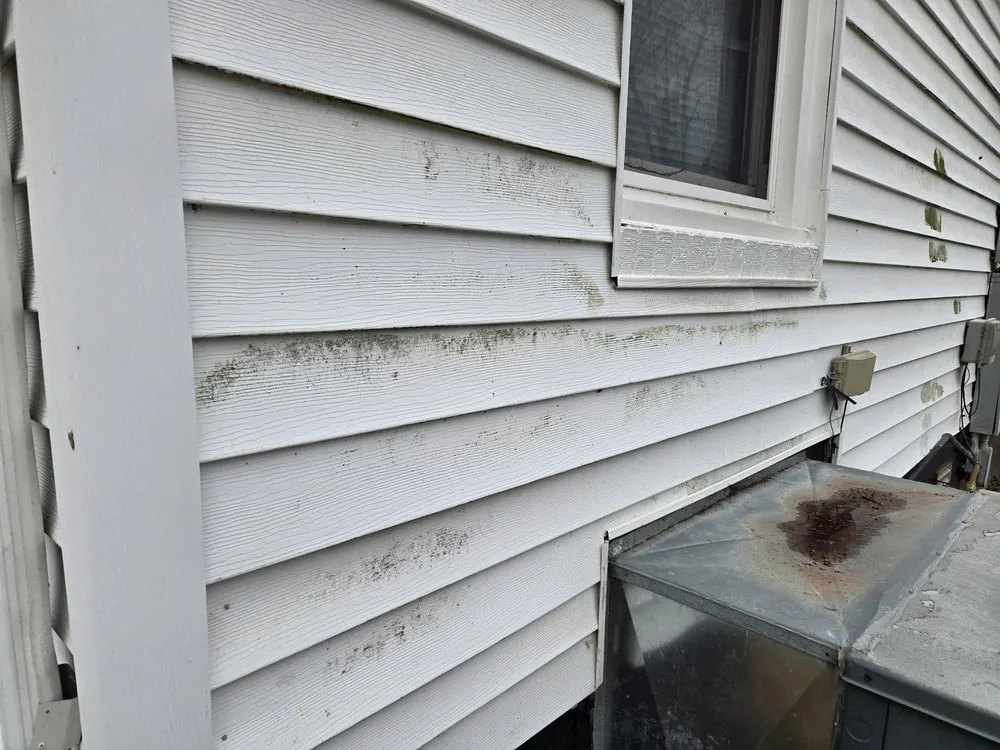 Expert yard cleanup service near you across Maryville, TN - Kiefer Property Solutions