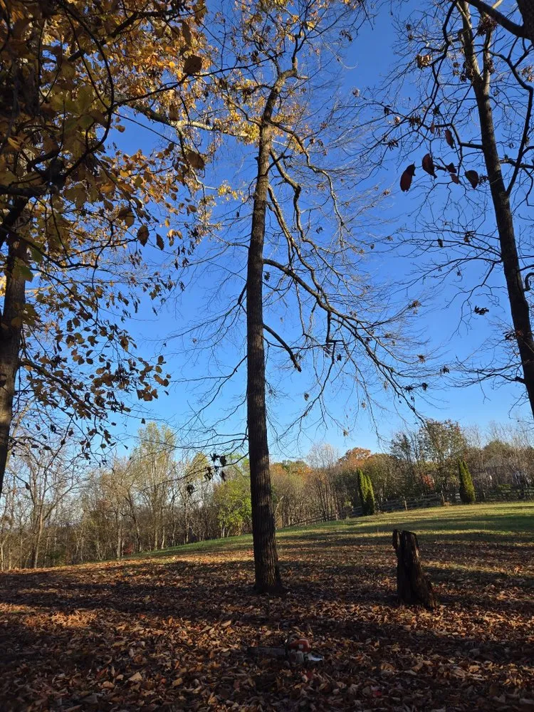 Local lawn mowing service experts serving Maryville, TN - Kiefer Property Solutions