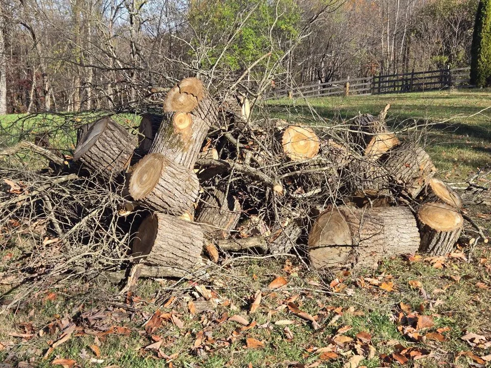 Top-rated landscaping services with custom design across Maryville, TN - Kiefer Property Solutions