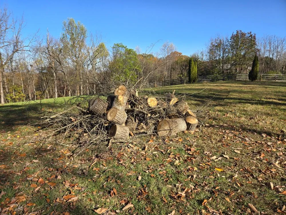 Top-rated outdoor landscaping experts serving Maryville, TN - Kiefer Property Solutions