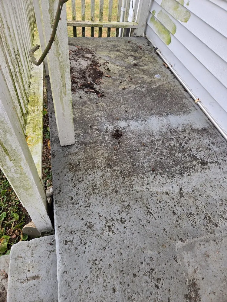 Top-rated yard cleanup service in Maryville, TN by Kiefer Property Solutions