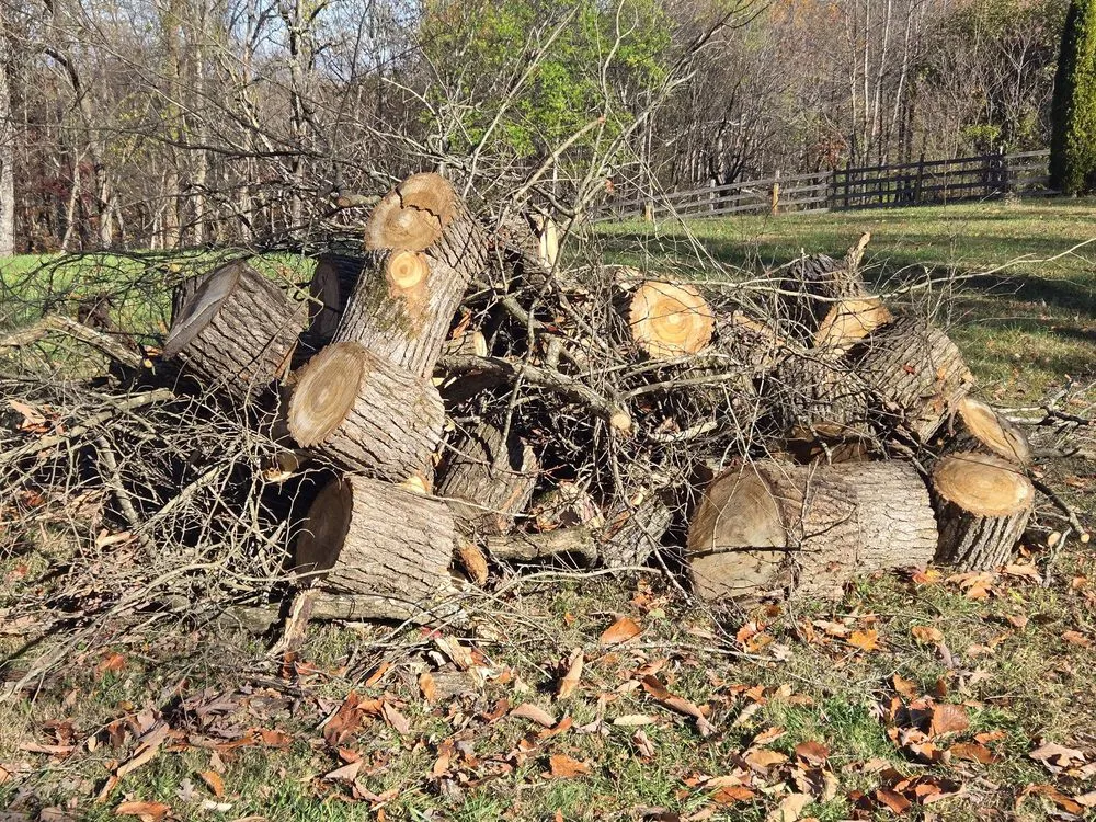 Professional residential landscaping in Maryville, TN by Kiefer Property Solutions