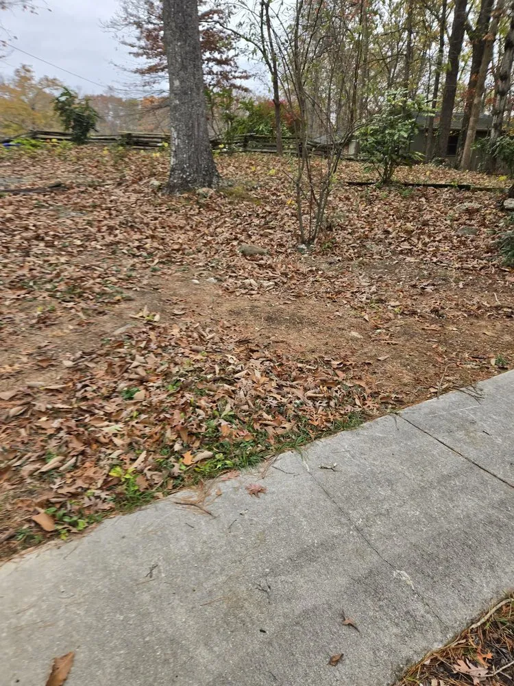 Custom yard cleanup service near you across Maryville, TN - Kiefer Property Solutions