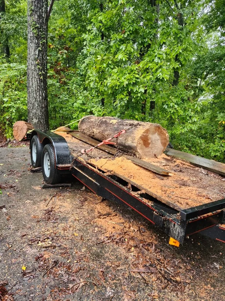 Affordable yard cleanup service for residential properties in Maryville, TN by Kiefer Property Solutions