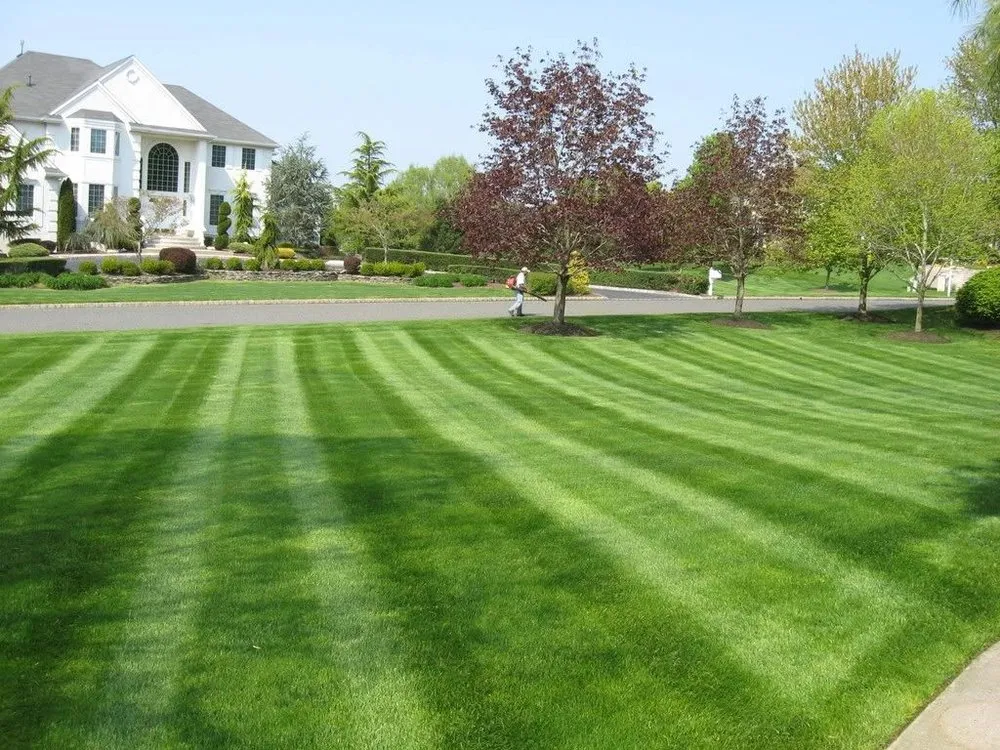 Expert residential landscaping for homes across Fenton, MO - Kiefer's Lawn & Landscaping