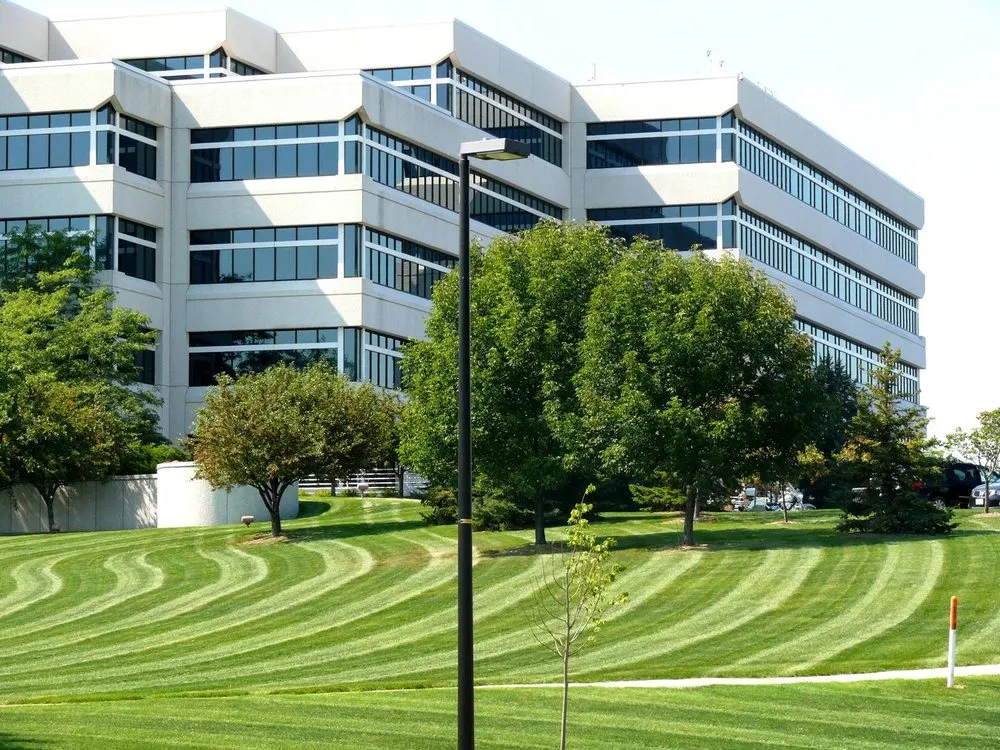 Professional yard cleanup service in Fenton, MO by Kiefer's Lawn & Landscaping