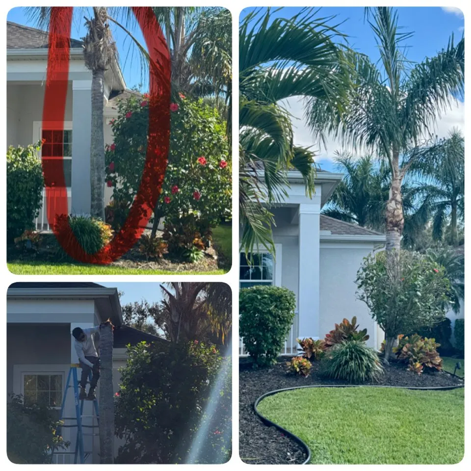 Affordable yard maintenance for outdoor upgrades in Palmetto, FL by Kieffer's Lawn Maintenance