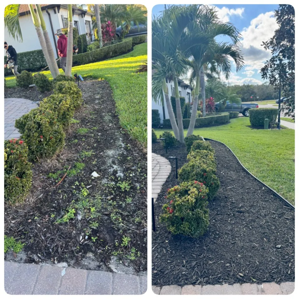 Trusted yard cleanup service for residential properties across Palmetto, FL - Kieffer's Lawn Maintenance