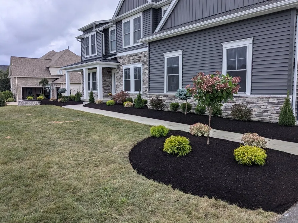 Affordable lawn care service for residential properties in Buffalo, NY by Kielty Landscaping Services