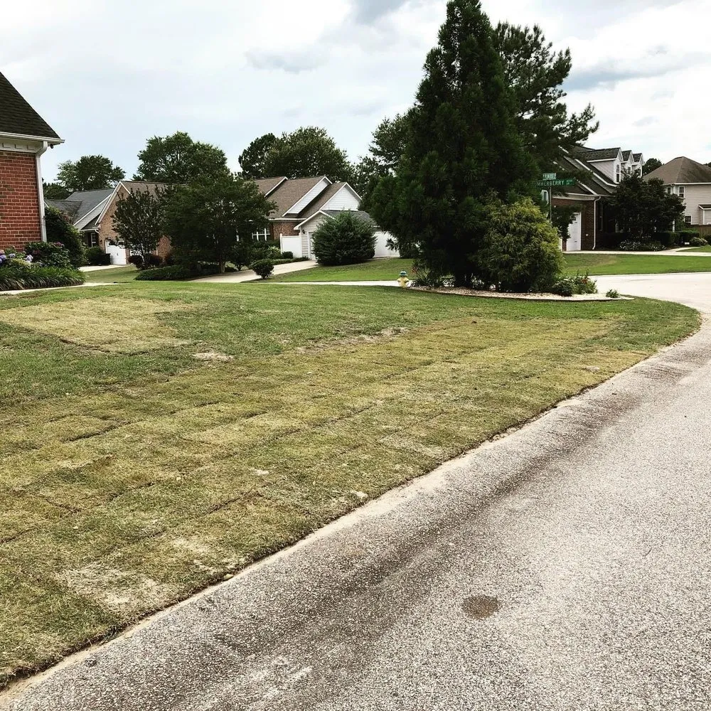 Trusted garden landscaping experts serving Orlando, FL - Kiema