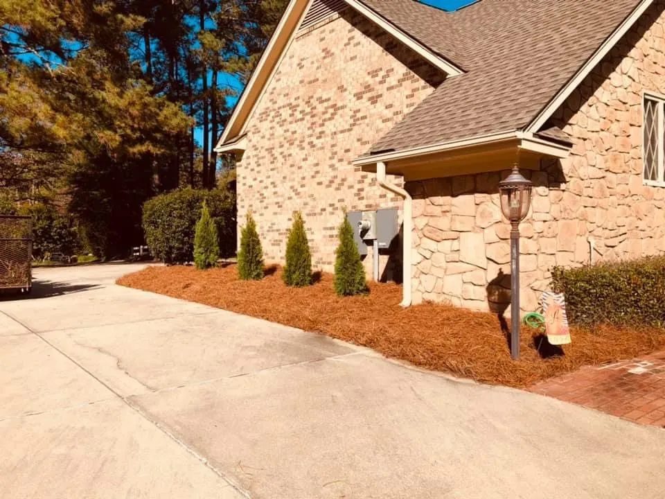 Reliable outdoor landscaping for residential properties across Orlando, FL - Kiema