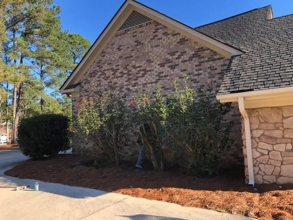 Local outdoor landscaping in Orlando, FL - Kiema