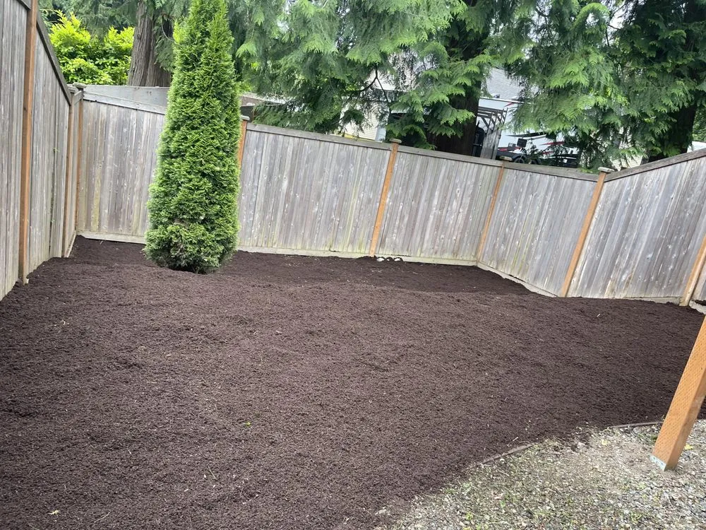 Expert lawn mowing service experts serving Marysville, WA - Kike's Garden Service