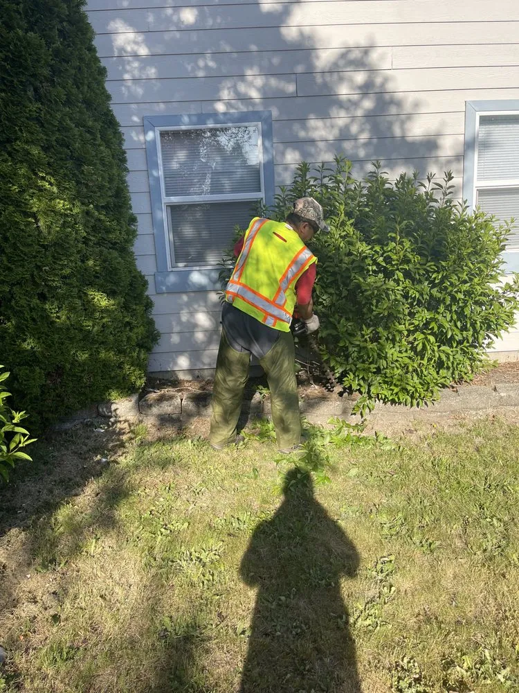 Expert landscape installation in Marysville, WA by Kike's Garden Service