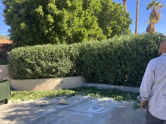 Kiki’s Landscaping Logo