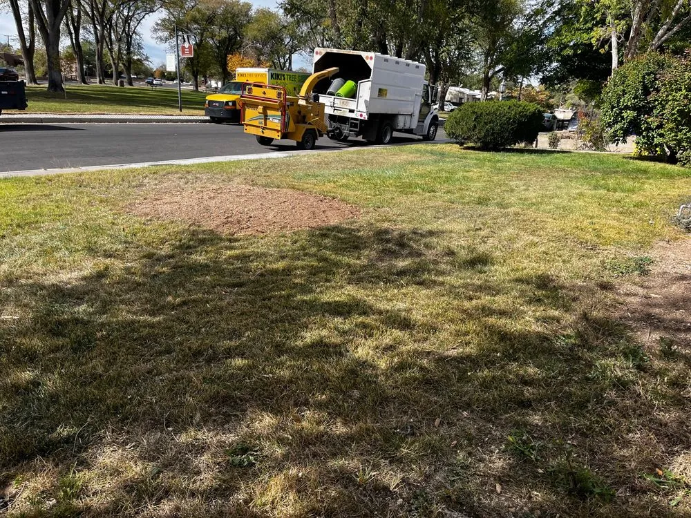 Trusted residential landscaping in Albuquerque, NM - Kiki's Tree Service