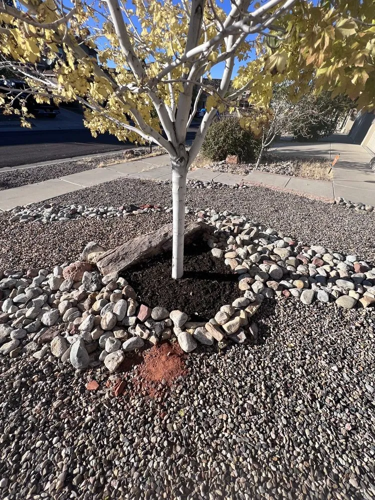 Local landscaping services with custom design in Albuquerque, NM by Kiki's Tree Service