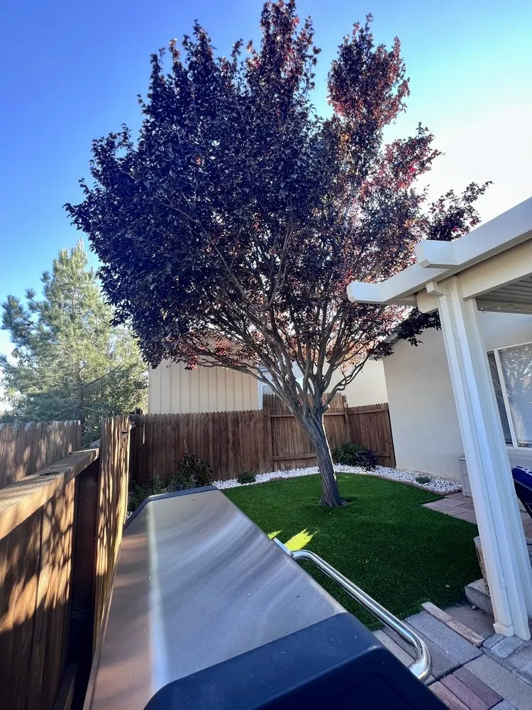 Reliable landscape installation in Albuquerque, NM - Kiki's Tree Service