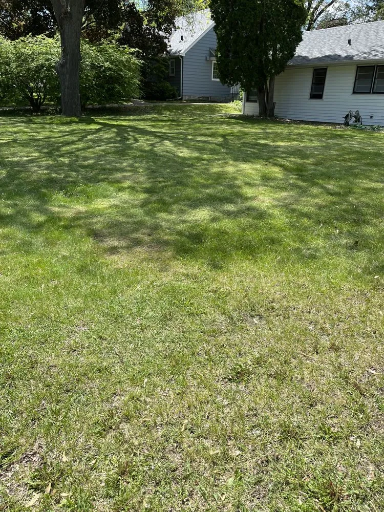 Top-rated yard cleanup service for outdoor upgrades across Inver Grove Heights, MN - Kiko Roofing & Lawn Care