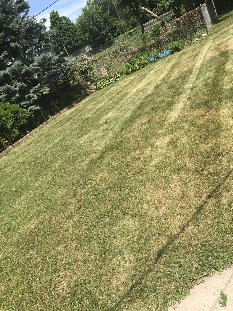 Expert lawn mowing service for outdoor upgrades in Inver Grove Heights, MN by Kiko Roofing & Lawn Care