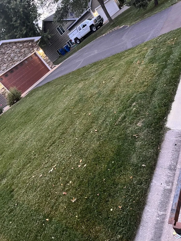 Local landscape installation experts serving Inver Grove Heights, MN - Kiko Roofing & Lawn Care