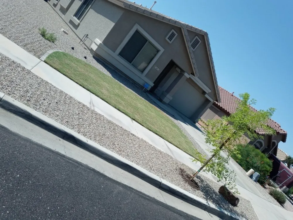 Local landscape installation for year-round maintenance across Phoenix, AZ - Kikos Landscaping & Tile