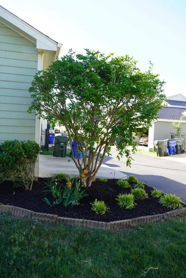 Affordable landscaping services in Northeast Raleigh, NC - Kilburn NC Landscaping