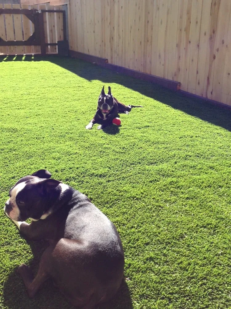 Expert outdoor landscaping in San Luis Obispo, CA - Kilcoyne Landscapes Design/Build