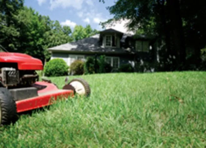 Custom yard cleanup service near you across Warren, OH - Kiles Lawncare Services