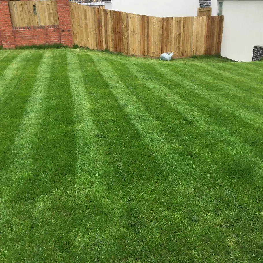 Trusted landscape installation for year-round maintenance in Warren, OH by Kiles Lawncare Services