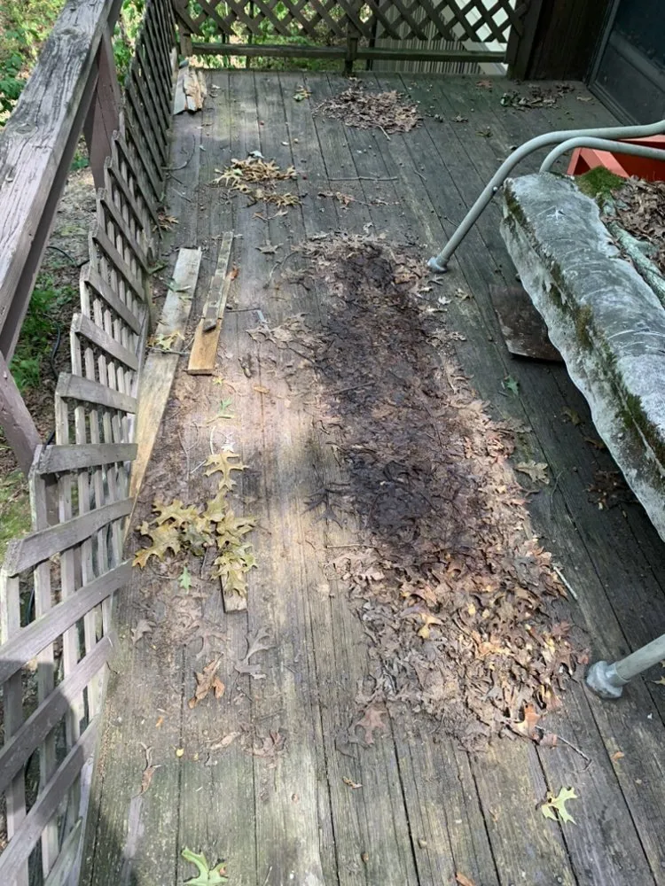 Reliable residential landscaping in Crossville, TN by Kilgore Clean Up Crew