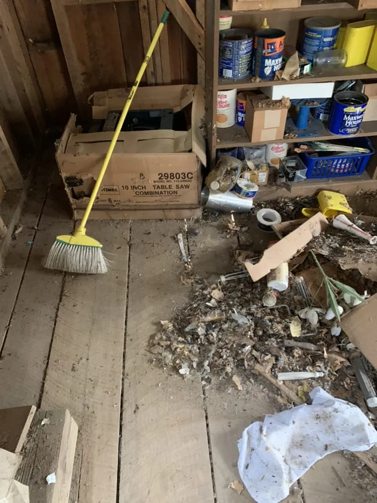 Expert yard cleanup service for beautiful yards in Crossville, TN by Kilgore Clean Up Crew