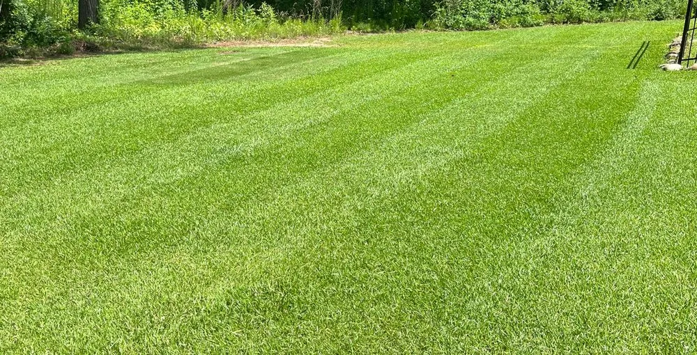 Local yard maintenance in Carrollton, GA - Kilgore Lawn Care