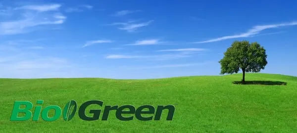 Kilgore Lawn Service Logo